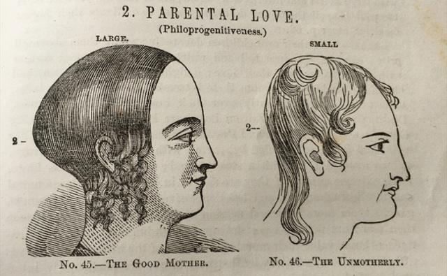 골상학 연구기관으로 유명했던 '파울러 앤 웰스'에서 1859년 출간한 연구 중 일부. 당시 골상학은 골격으로 지적 능력을 추론할 수 있다고 설명하며 백인 남성이 아닌 존재들의 열등성을 입증하려 애썼다. 사진은 여성 두개골 모양에 따라 '좋은 엄마'(왼쪽 그림)와 '모성애가 부족한 엄마'를 설명한 내용. 버지니아대 라이브러리(UVA Library) 캡처
