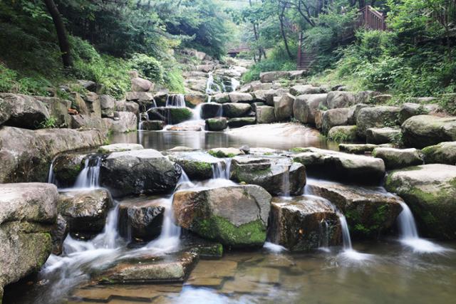 백양산 계곡물에 발을 담그면 한낮의 무더위도 한풀 꺾인다. ⓒ박준규