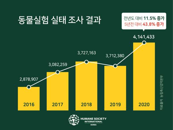 실험동물 수 추이. 휴메인소사이어티인터내셔널 제공