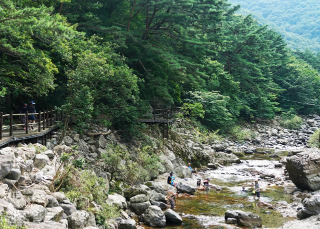 용담호 북측 운일암반일암 계곡은 진안의 대표적인 여름 피서지다.