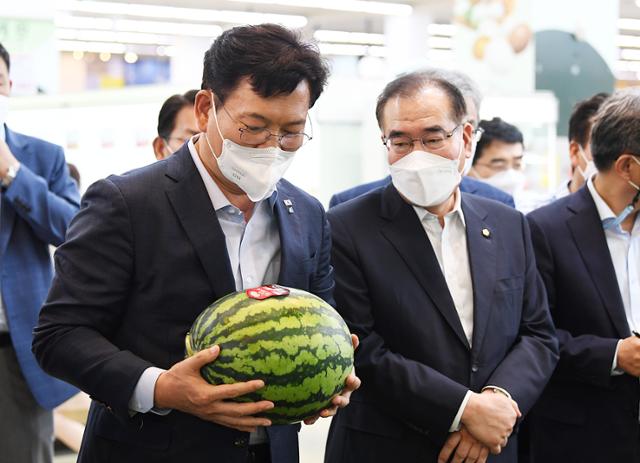 송영길 더불어민주당 대표가 5일 밥상 물가 점검을 위해 서울 서초구 농협하나로마트를 방문해 수박을 살펴보고 있다. 뉴시스