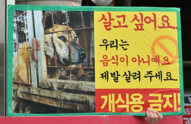 "칠성 개시장 당장 폐쇄해도 꼴찌…대구시가 끝내야 할 때" - Vimarsana News
