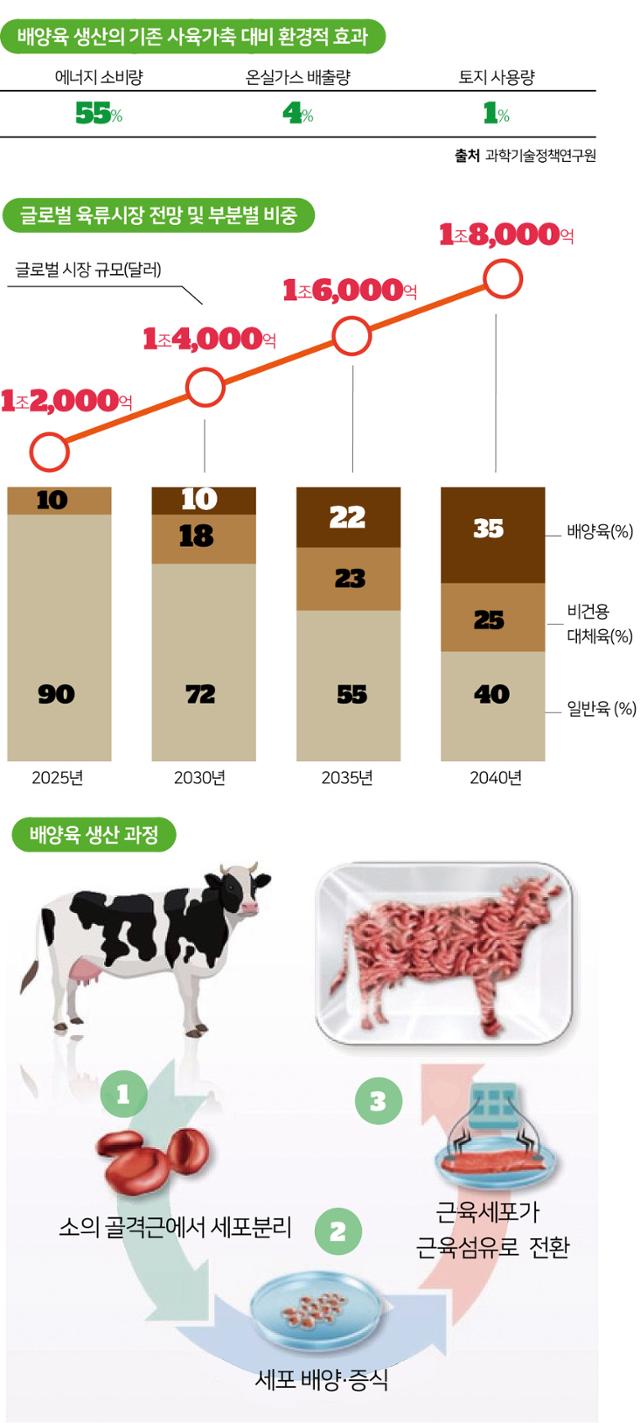 배양육 생산의 기존 사육가축 대비 환경적 효과