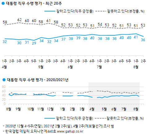 한국갤럽 8월 2주차 대통령 직무수행 평가 결과. 한국갤럽 홈페이지 캡처