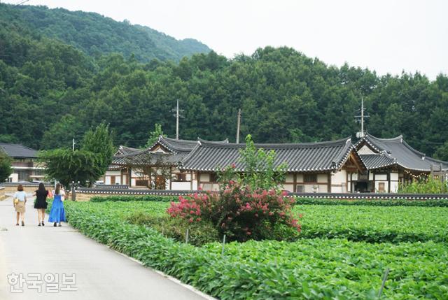 문경 산양면 현리마을의 한옥 카페 화수헌. 특별할 것 없는 평범한 시골마을에 들어선 카페여서 오히려 주목받고 있다.