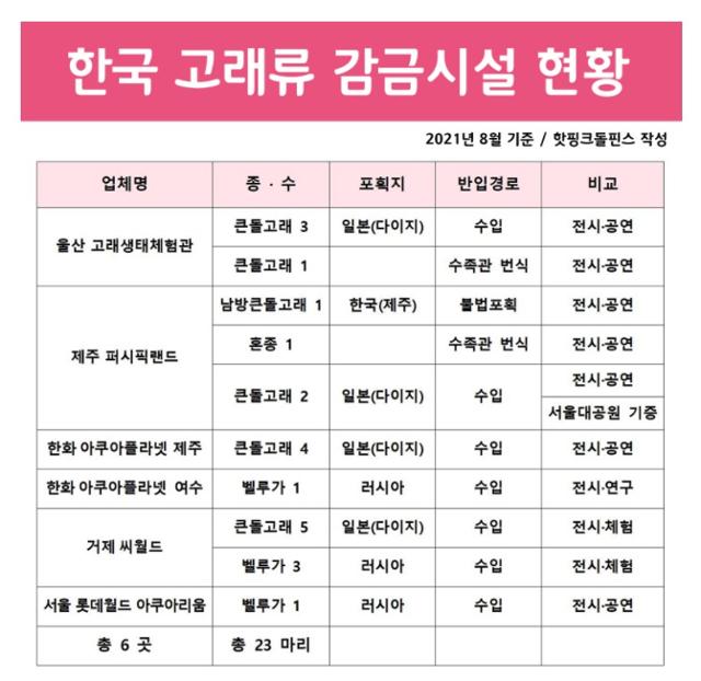 국내 수족관에서 사육되고 있는 돌고래 현황. 핫핑크돌핀스 제공