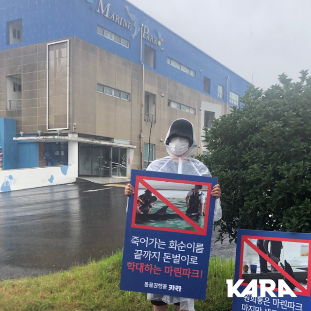 동물권행동단체 카라 활동가 고현선씨가 화순이가 죽기 전 마린파크 앞에서 화순이 방류를 촉구하는 1인시위를 하고 있다. 카라 제공