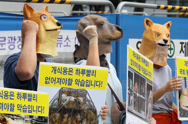 지난달 11일 오후 서울 종로구 이순신 장군 동상 앞에서 한국동물보호연합과 한국채식연합 회원들이 개 가면을 쓰고 개 도살 중단 및 건강 채식 촉구 기자회견을 하고 있다. 뉴스1