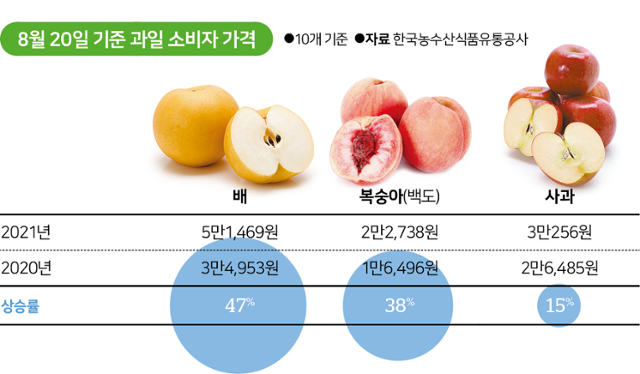 8월 20일 기준 지난해와 올해 과일 소비자 가격. 그래픽=김대훈 기자