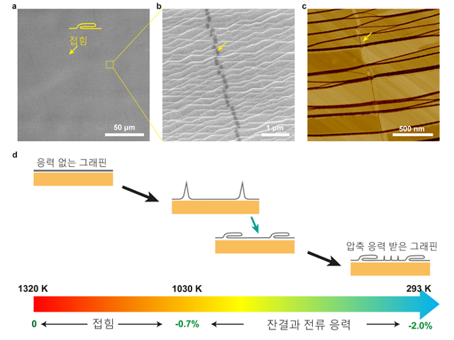 그래핀의 접힘 부분을 전자현미경(a,b) 및 원자현미경(c)으로 촬영한 모습. 통상 그래핀은 1320K 이상의 고온에서 성장하는데, 냉각되는 과정에서 접힘이 발생한다. 이에 연구진은 1030K 이하의 온도에서 그래핀을 성장시켜 접힘현상을 없앴다. IBS 제공