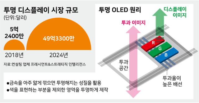 시각물_투명 디스플레이 시장 규모