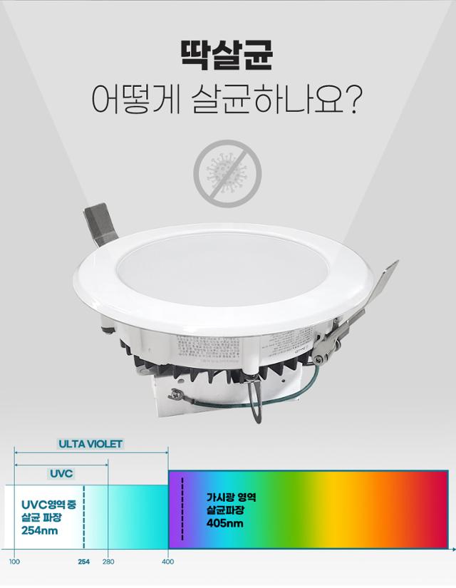 힐링 조명이 뭐야?...살균하고, 공부 촉진하고, 시력 보호하고 - Vimarsana News