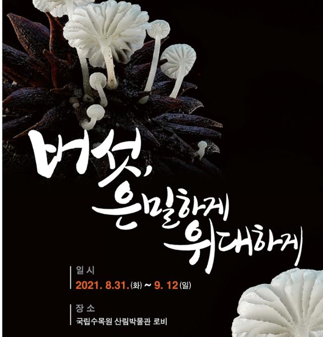 "독버섯 구별법은?" 국립수목원, '은밀하게' 버섯 특별전 - Vimarsana News