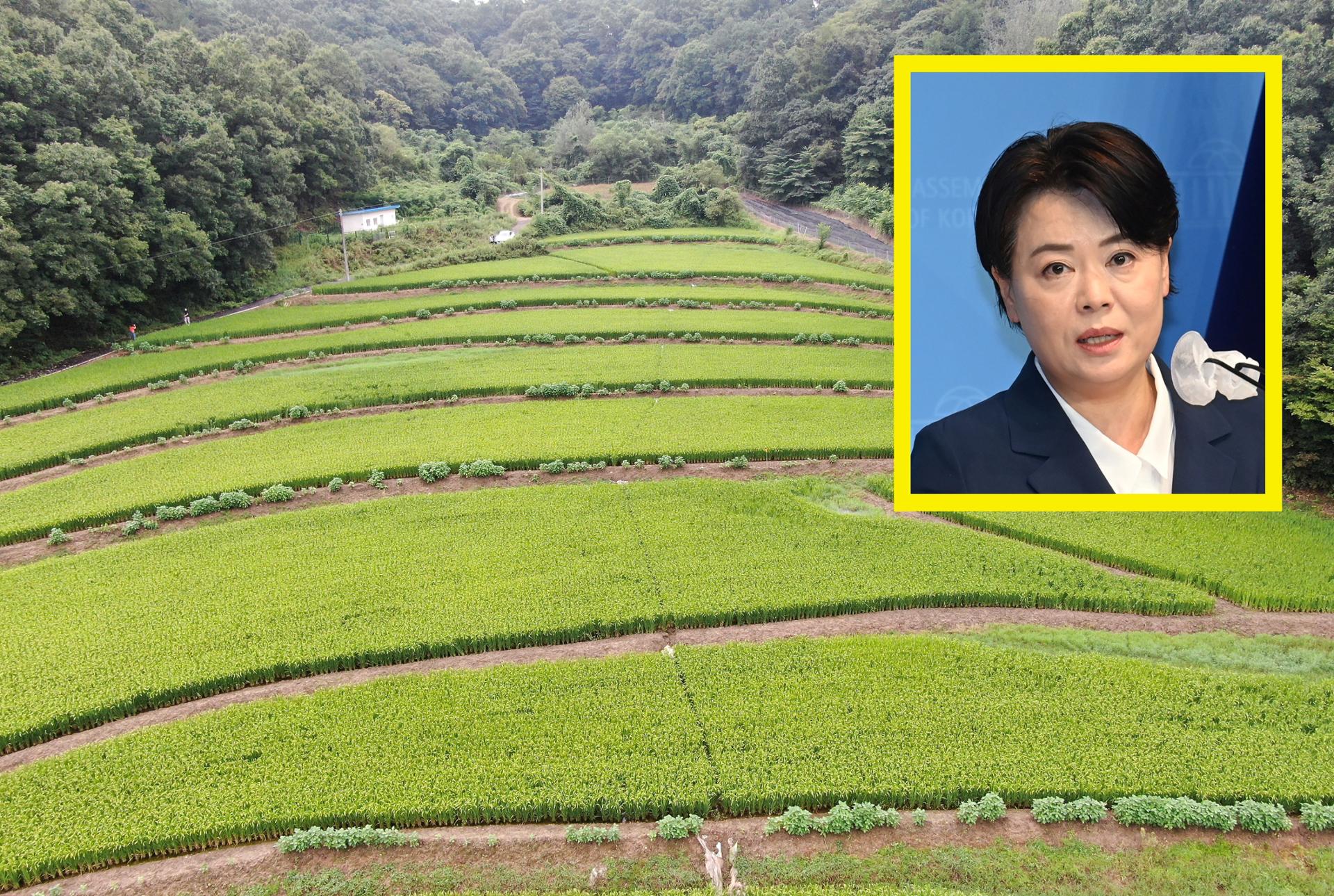 '부친 땅 투기 의혹' 윤희숙 불똥, 전 직장 KDI로 번지나 - Vimarsana News