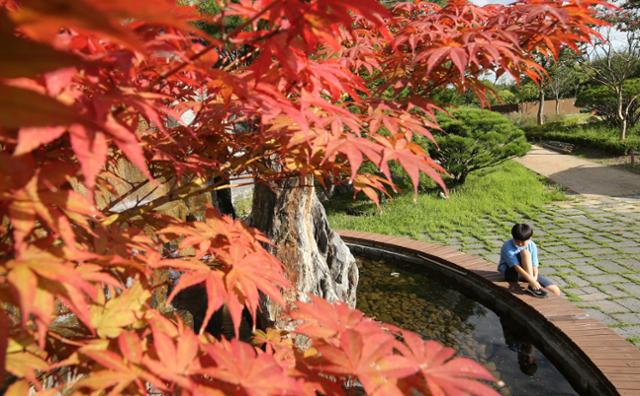 주말, 맑고 선선한 가을 날씨... 일교차 10도 이상 벌어져 - Vimarsana News