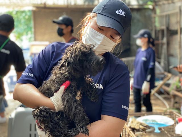 고현선 카라 활동가가 7월 중순 경기 의정부시 개 도살장에서 구조한 개 '써니'를 안아보고 있다. 써니는 사람을 두려워하는 도살장 속 다른 개들과 달리 사람을 보자 두 발 들고 환영하며 활동가 품에 쏙 안겼다. 카라 제공