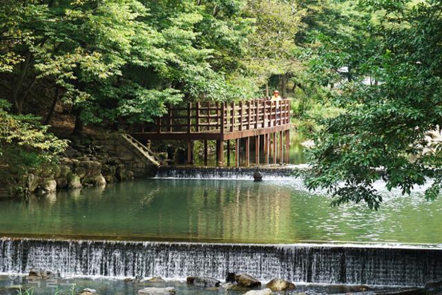 완주 고산면의 고산자연휴양림. 인근 대아수목원과 함께 숲 산책을 즐길 수 있는 휴양시설이다.