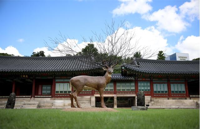 김명범의 원. 국립현대미술관 제공