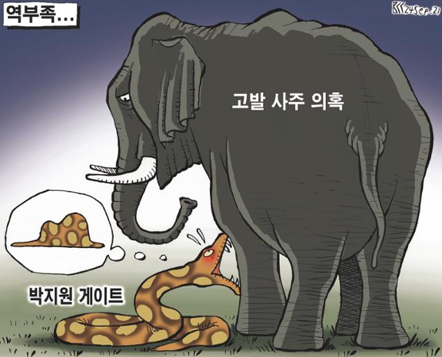 9월24일자 만평