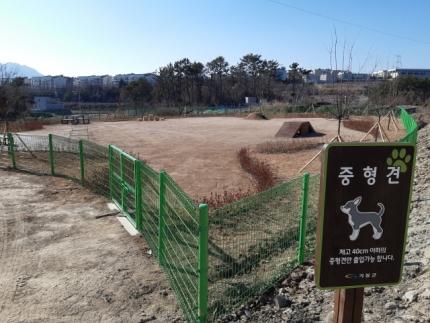 부산 기장군 반려견 놀이터. 기장군 제공