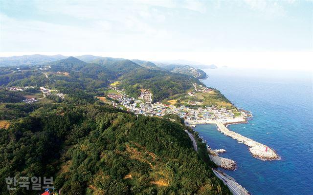 경북 영덕군 영덕읍 천지원전 건설 예정지. 한국일보 자료사진