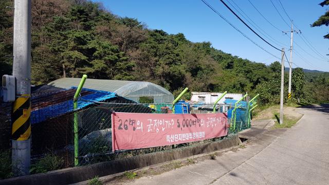 19만5,000㎡의 대규모 축산단지가 건설될 예정인 경북 울진군 근남면 산포리 일대에 18일 축산단지 조성에 반대하는 주민들이 만든 현수막이 걸려 있다. 김정혜 기자