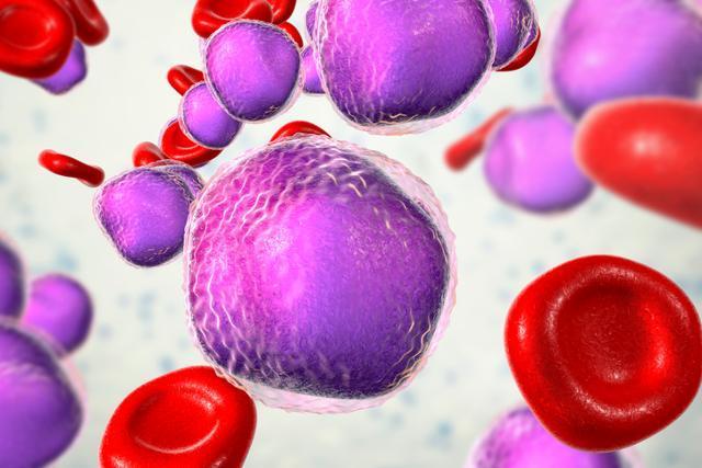 ‘Hematopoietic stem cell transplant’, the best way to cure blood diseases