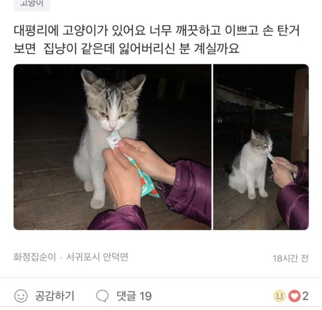 당근마켓에 올라왔던 지구의 사진