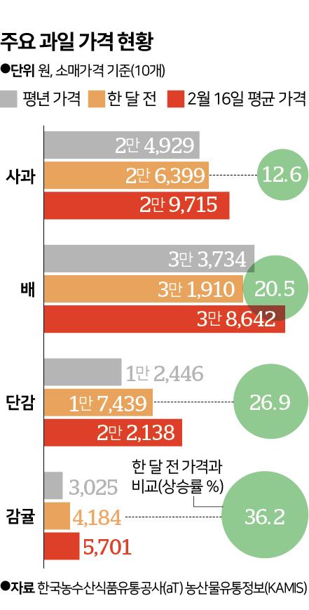 그래픽=신동준 기자