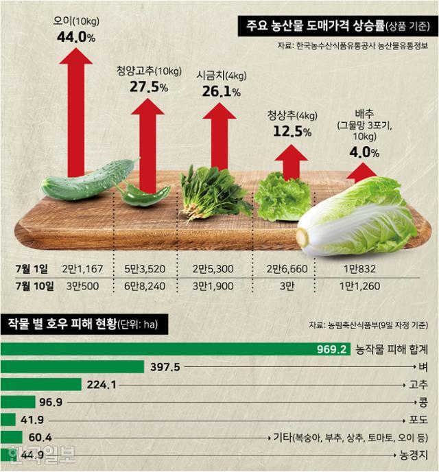 그래픽=강준구 기자