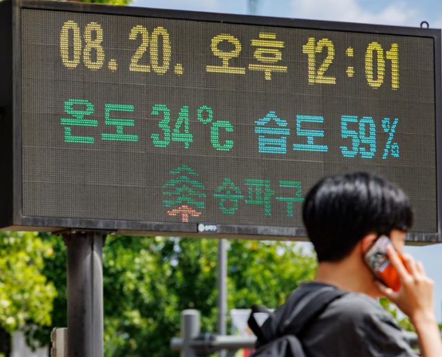 태풍 '종다리' 찾아와도 폭염 계속... 열대야 일수는 역대 1위 등극