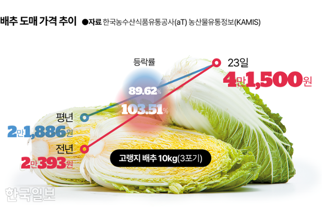 그래픽=김대훈 기자