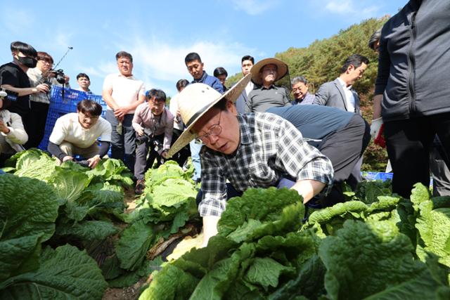 '호남 재신임'에 한숨 돌린 이재명... 김건희 특검법 또 띄우고, 배추밭 달려갔다