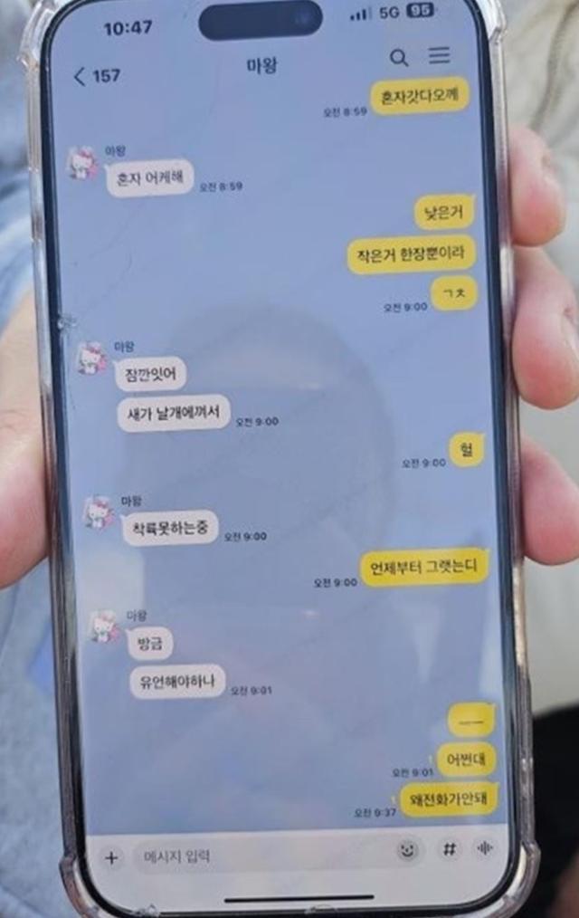 "연료 버릴 새도 없었다"... 200m 상공 새떼 충돌→화염·유독가스→기어 고장