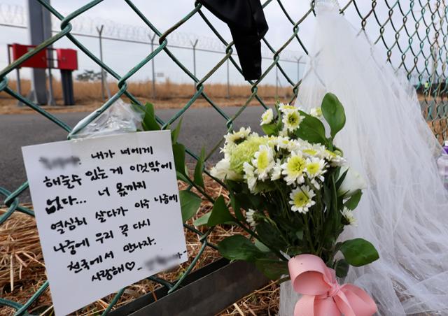 교육부, 제주항공 참사 피해자 가족에 1년간 대학등록금 지원