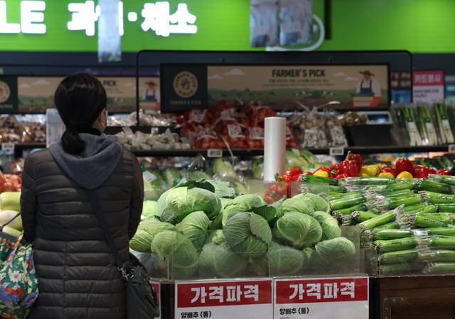 기후위기로 金배추·金무... 정부 "비축물량 풀고 수입 확대"