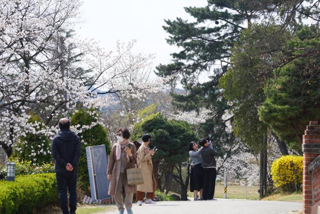 Tourists visiting Gasil Cathedral in  Chilgok, North Gyeongsang Province, are engrossed in taking photos with cherry blossoms in the background. Hankook Ilbo