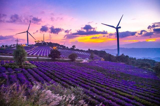 The sunset is seen beyond Star Wind Hill on Mt. Gamak in Geochang, South Gyeongsang Province. Courtesy of Geochang County