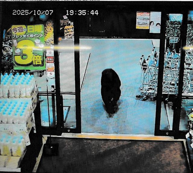 A bear wanders inside a supermarket in Numata, Gunma Prefecture, as seen in CCTV footage from Oct. 7. The footage is provided by police and reported by Jiji Press. AFP-Yonhap 