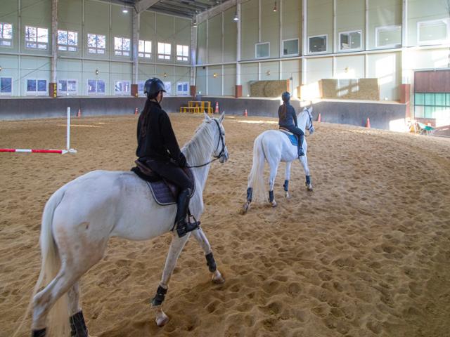 Golden Saddle Riding Club / Courtesy of Gyeonggi Tourism Organization  